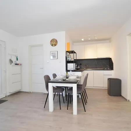 Elsa 公寓 罗维尼